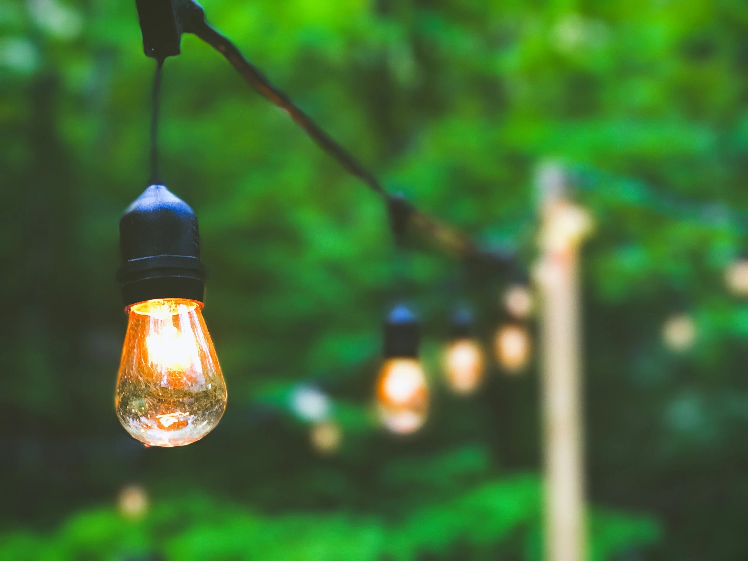 Sustainable Business Lessons