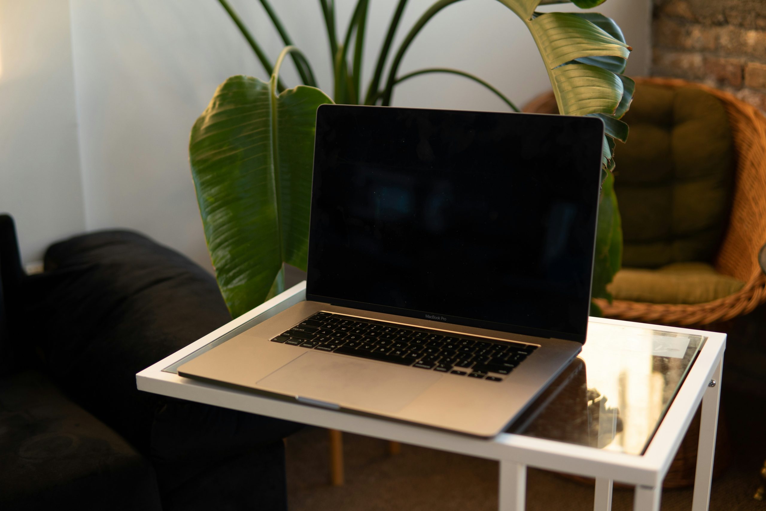 Environmental Stewardship in Your Home Office: Practical Guide