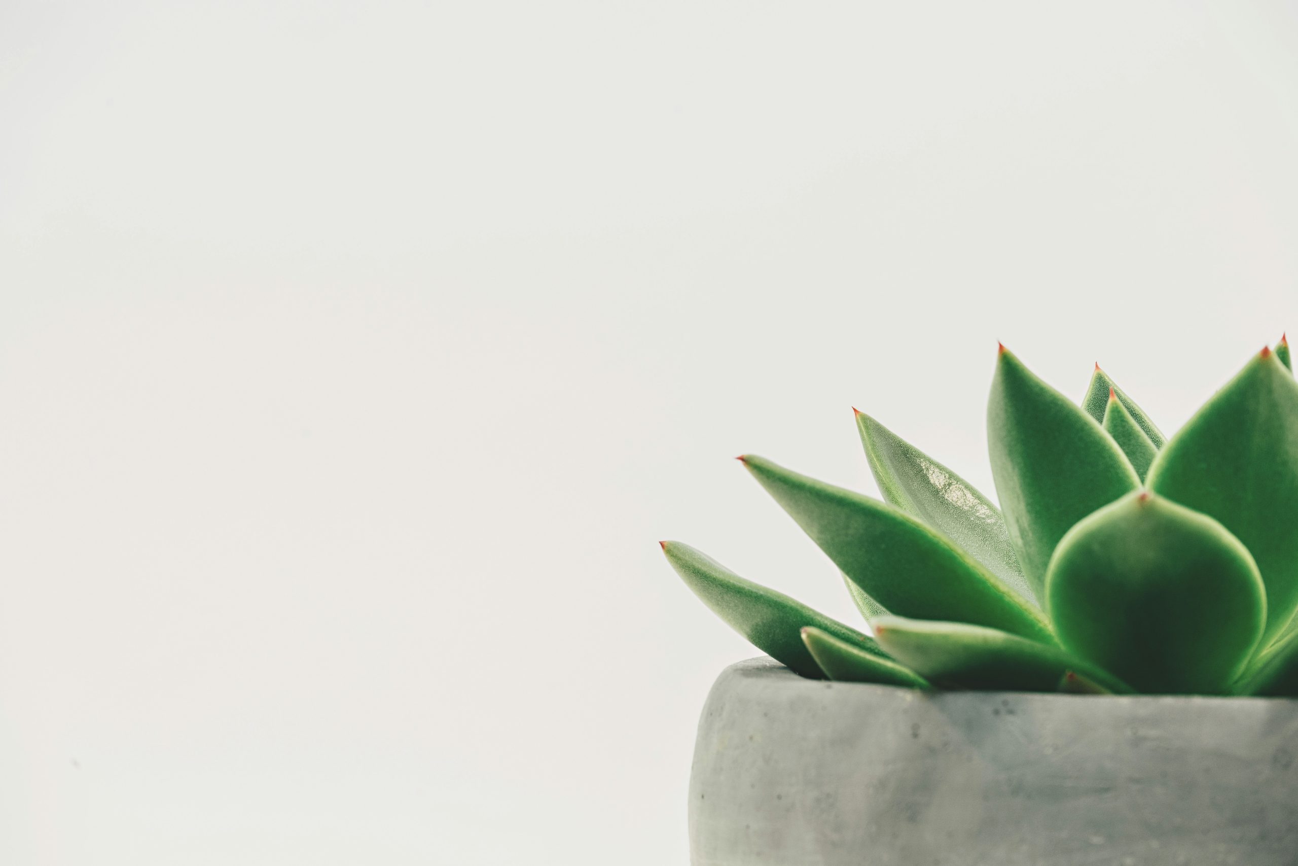 Eco-Friendly Office Suppliers